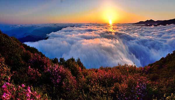 사진 정현석 작가