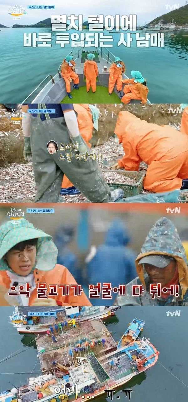 언니네 산지직송 첫방 / 사진=tvN 캡처