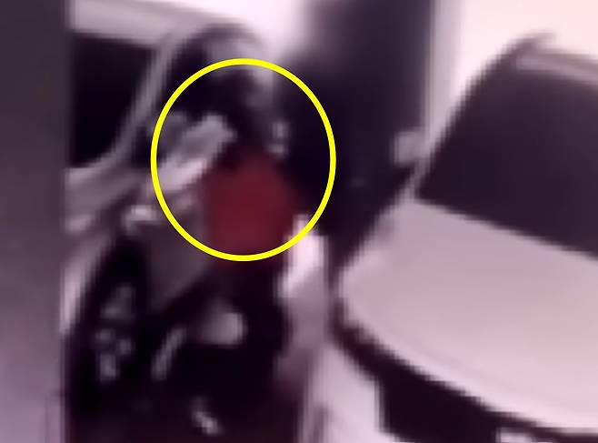 A 씨가 배달 기사 멱살을 잡고 끌고 가는 모습. (JTBC 갈무리)