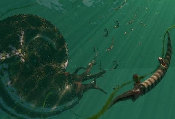 백악기 말 암모나이트의 복원도. 사진=Artwork by Callum Pursall