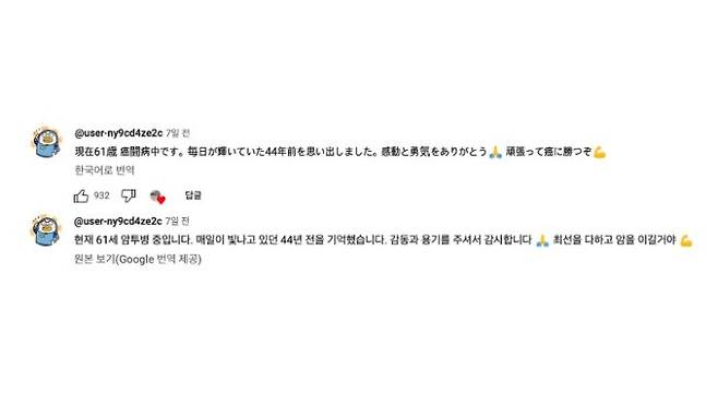 하니의 무대를 통해 암과 싸울 용기를 얻었다는 60대 일본인 남성의 댓글. [사진=유튜브 '버니즈동물병원' 캡처]