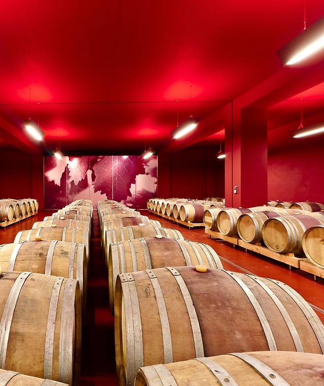 칸티나 트라민 셀러. 홈페이지