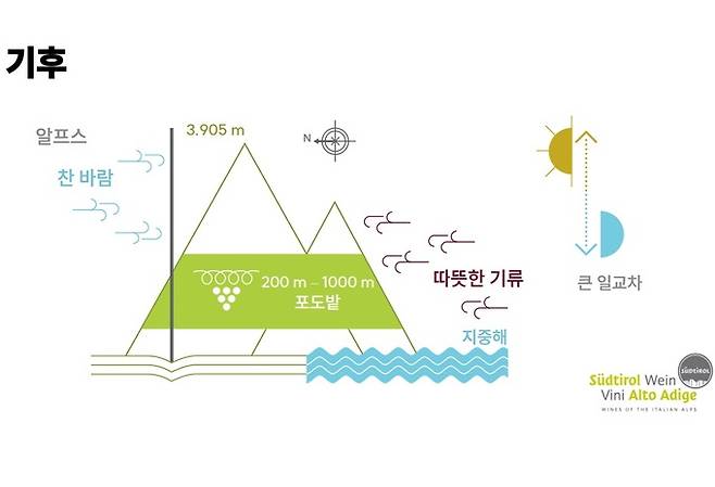 기후. 알토아디제와인협회