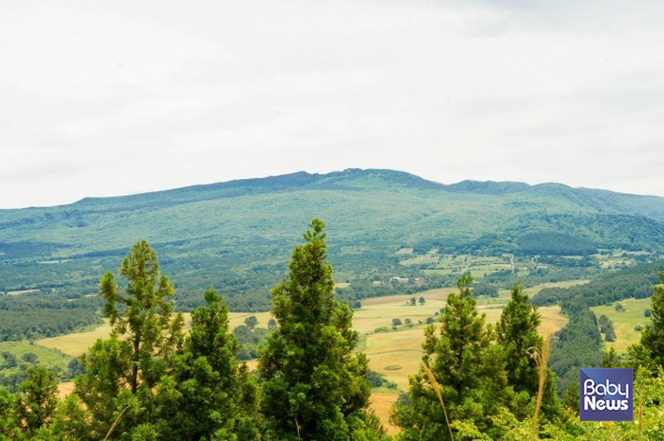 검은오름 정상에서 바라본 한라산 풍경. ⓒ비짓제주