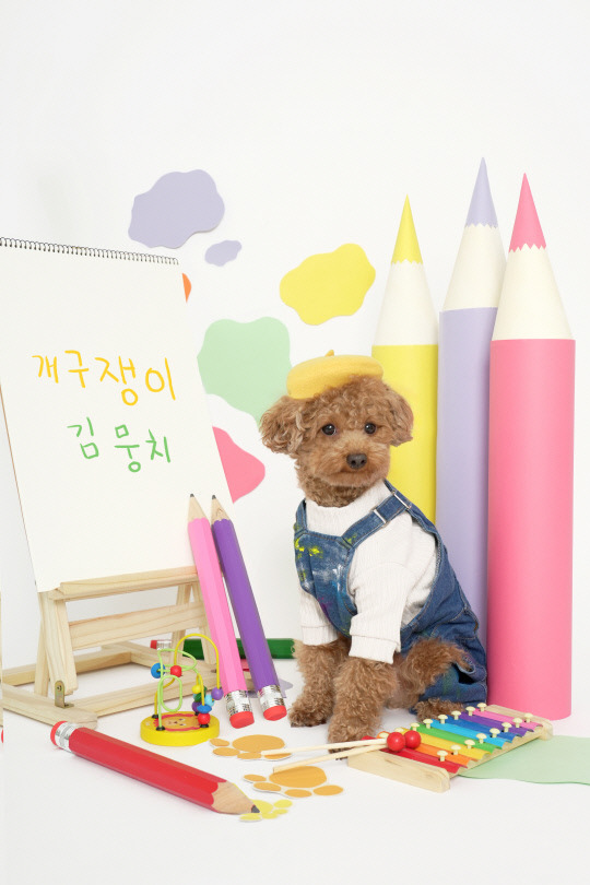 대전 반려동물 친화(Pet-Friendly) 인증 업체 라뭉스튜디오. 대전관광공사 제공