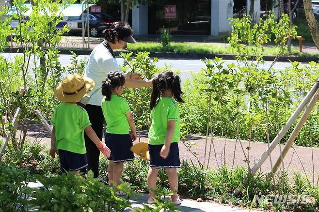 [제주=뉴시스] 양영전 기자 = 제주도가 올해 시범 도입하는 '반려 가로수 입양' 사업에 참여하는 '인예어린이집' 원아들이 22일 오전 관리 구간인 제주시 도남동 시민복지타운광장 일대 가로수에 이름표를 달고 있다. 2024.07.22. 0jeoni@newsis.com