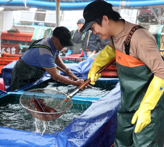 신진도항 수산시장 상인들이 싱싱한 오징어를 보며 함박웃음을 짓고 있다. 사진제공=태안군