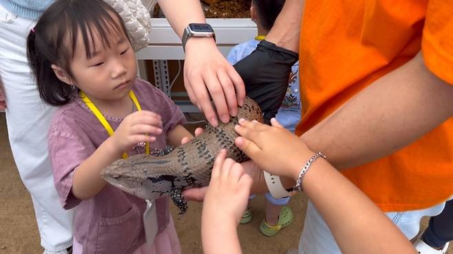 위드벅스를 찾은 어린이가 파충류를 만지며 관찰하고 있다. 충남 홍성군 제공