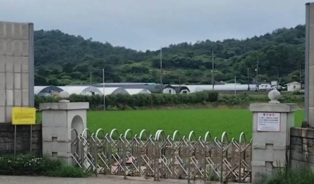 ▲벼가 심어져 있는 전남 보성군 벌교읍 박석리 영등초등학교 폐교 운동장 ⓒ강경숙 의원실