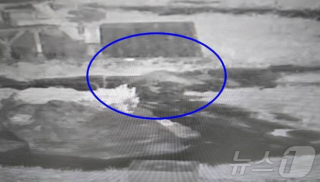 24일 충북 충주시청에 수달이 출현해서 화제다. 사진은 CCTV에 포착된 수달 모습.(충주시 제공)2024.7.24/뉴스1