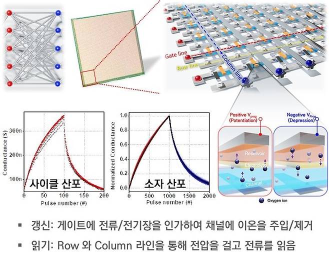 연구팀이 제작한 3단자 이온제어형 메모리 소자의 크로스 포인트 어레이 구조 및 동작 방법. 단자 기반 전기화학적 메모리 소자의 어레이 측정 결과(위 그림), 소자 간 산포에서 모두 뉴럴 네트워크 훈련 위한 요구 조건 충분히 상회, 우수한 특성 확인(아래 그림).