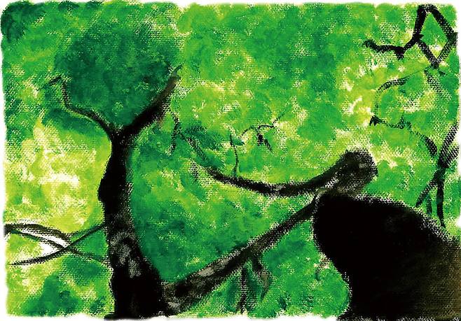 일러스트레이션 차지우(중1)