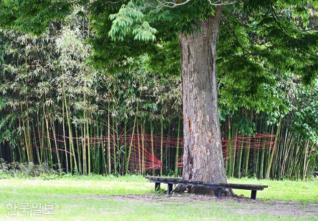 지리산프로젝트로 완성된 설치미술 '대숲법당 바람그물'.