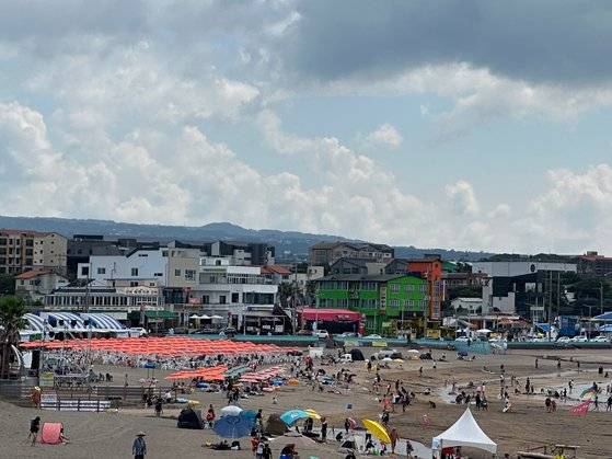 제주 이호해수욕장에 설치된 파라솔들. 최충일 기자