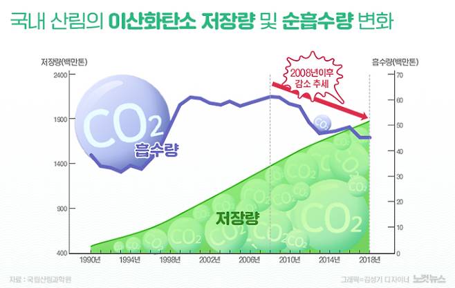 2008년 이후 국내산림의 이산화탄소 순 흡수량이 감소 추세라는 설명이다. 국립산림과학원 제공