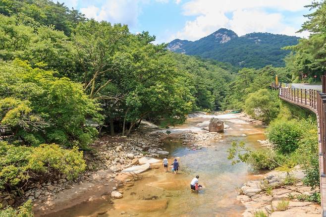 제천 송계계곡에서 물놀이를 즐기고 있는 피서객들. 아기자기한 풍광이 돌아보는 재미가 있다 사진제공|지엔씨이십일