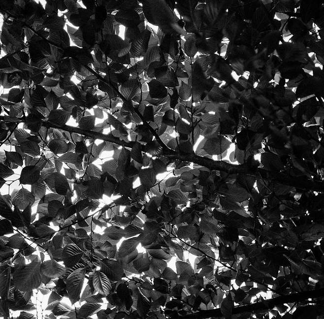 7ded8076b58176ac7eb8f68b12d21a1df3f0ecfc267285