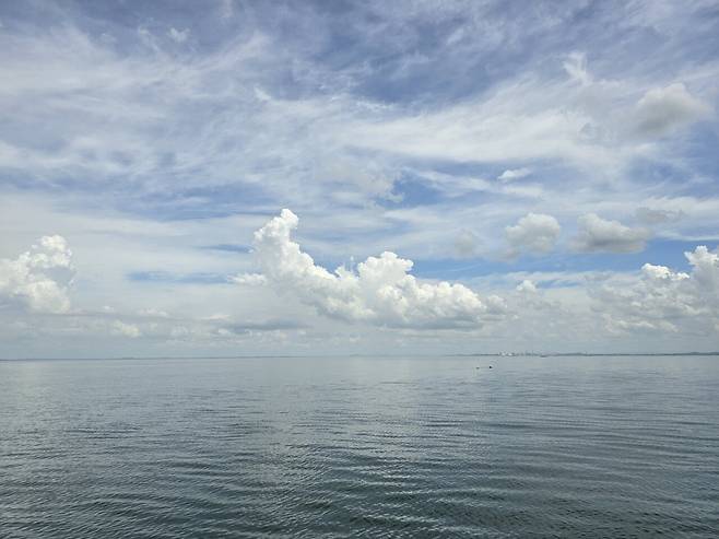 20240725_134355.jpg 고래모양 구름