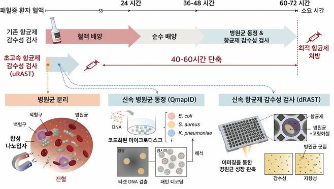 초고속 항균제 감수성 검사(uRAST) 진행 순서./사진=서울대병원