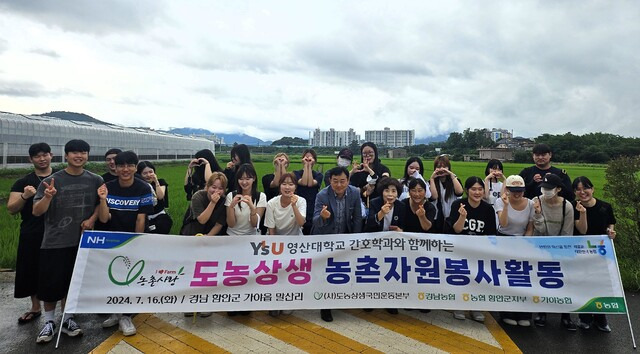 경남농협본부가 16일 영산대학교 간호학과 재학생들과 함께 함안군 가야읍 말산리 일원에서 농촌일손돕기를 하고 있다.