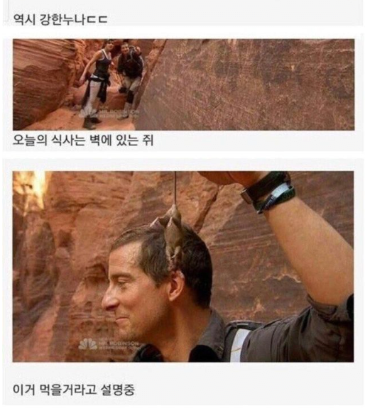 image.png 베어그릴스와 캠핑 간 여배우