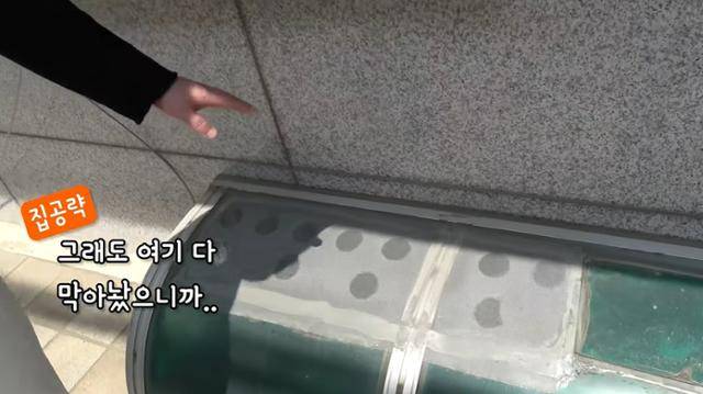 서울 관악구 지하 원룸의 천장 빗물받이는 지상의 하수구 구멍과 이어져 있다. 이 하수구 구멍 위에 다시 덮개가 있고, 성인 손바닥보다 작은 구멍들이 뚫려있었다. 유튜브 채널 '집공략' 화면 캡처