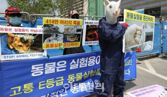 한국동물보호연합과 동물의목소리(VoA)가 강원대학교 통합동쿨실험센터 건립을 반대하는 시위(사진=연합뉴스)