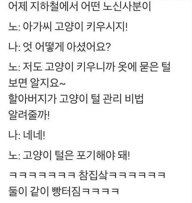 아가씨 고양이 키우지? 털 관리법 알려줄까?
