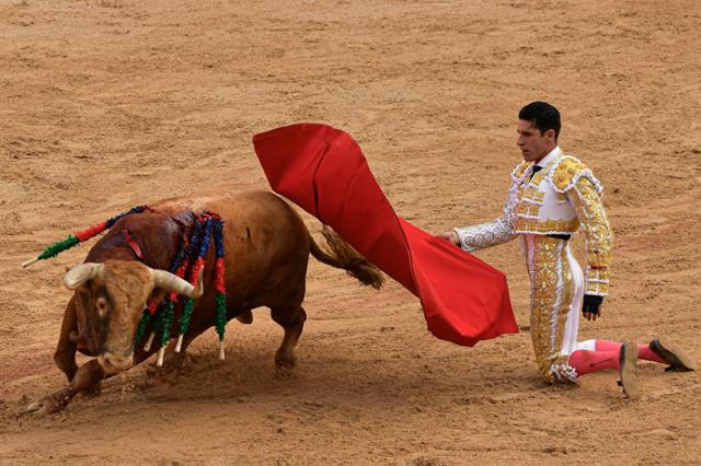 지난달 11일 스페인 북부 팜플로나에서 열린 산페르민 축제에서 투우가 공연되고 있다. 팜플로나=AP 연합뉴스