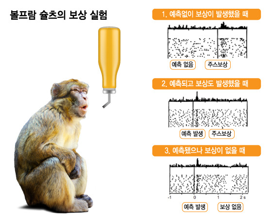 볼프람 슐츠의 보상 실험/그래픽=김지영