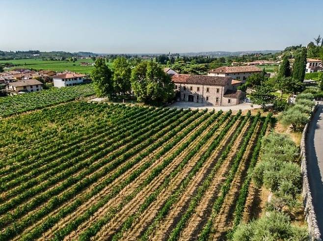 빌라벨라 발폴리첼라 푸마네 포도밭. 인스타그램