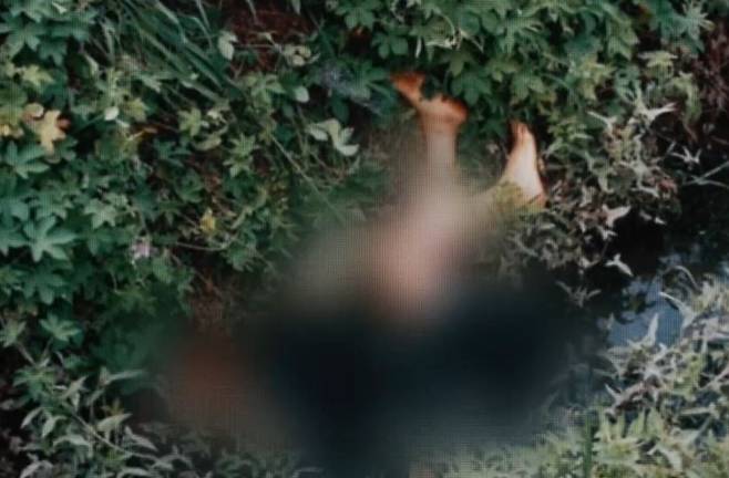 (SBS '그것이 알고 싶다')