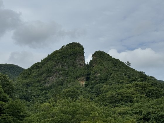 사도광산. 에도시대 금맥을 따라 채굴작업이 이뤄지면서 산이 갈라진 형태로 남아있다. 사도=김현예 특파원