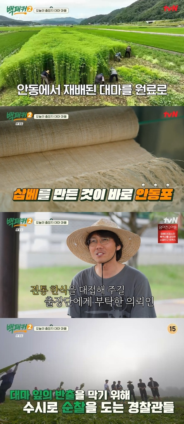 tvN ‘백패커2’ 캡처