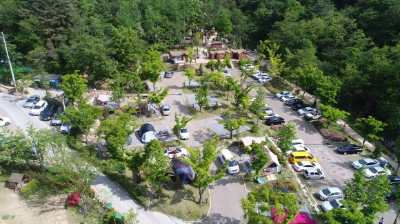 주말 100% 예약률을 보일 만큼 인기를 끄는 울산 중구 입화산 참살이숲야영장. 최근 방학을 맞은 가족 단위 방문객이 늘고 있다. 중구 제공