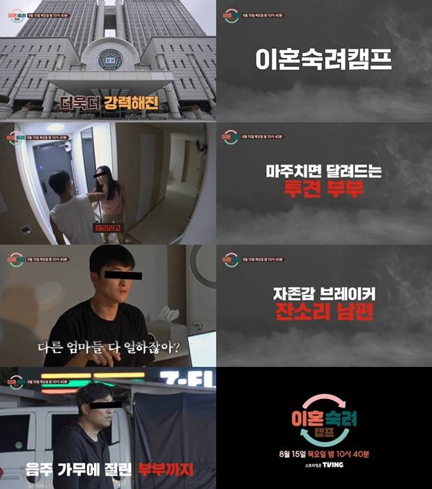 티브이데일리 포토