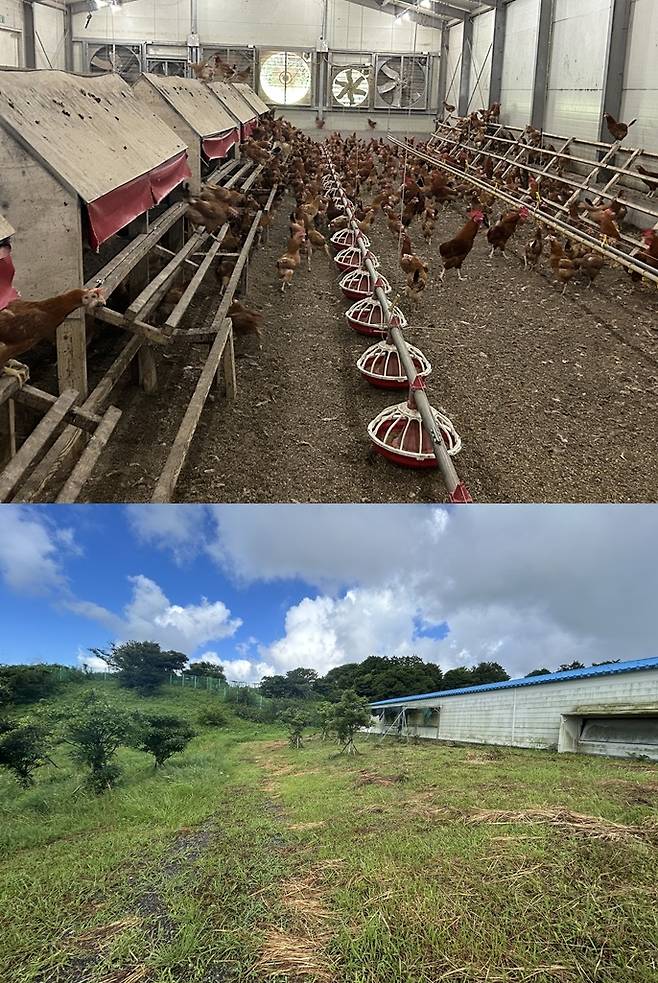 제주 구엄닭 양계장 전경/사진=김아름 기자 armijjang@