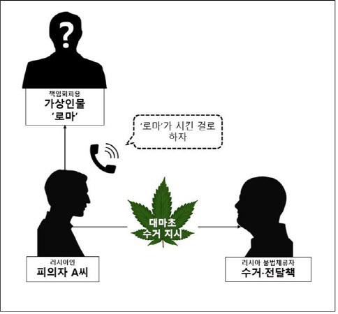 부산본부세관이 적발한 러시아 국적 A씨의 국제우편을 통한 대마초 밀수 개요도. (사진=관세청)