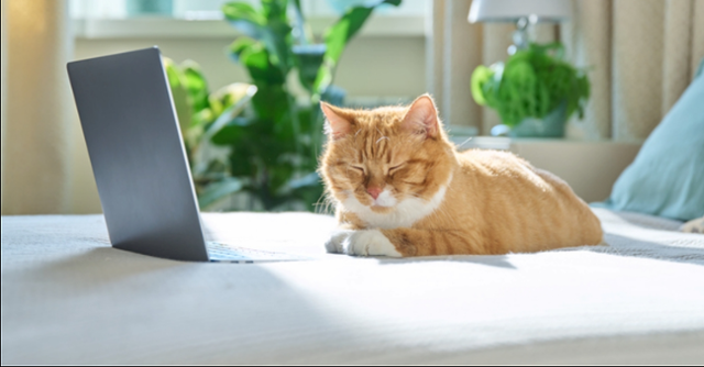 게티이미지뱅크