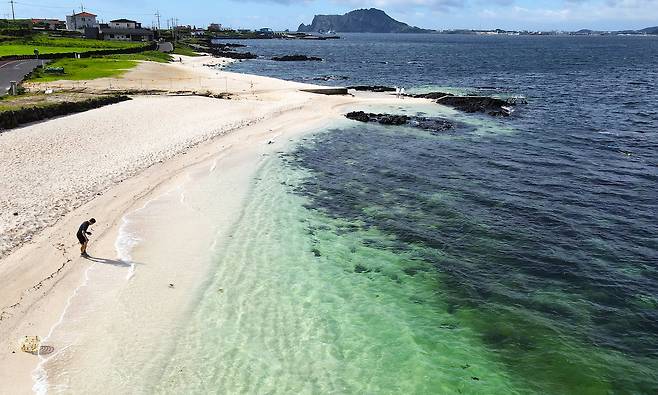 우도 홍조단괴 해변. 홍조식물이 돌멩이와 함께 굳어 해변을 이뤘다. 홍조단괴 해변은 우도 최고 관광지다. 한낮에는 관광객으로 붐비지만, 이른 아침에 갔더니 한적했다. 손민호 기자