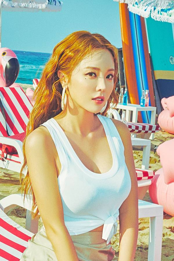 티브이데일리 포토