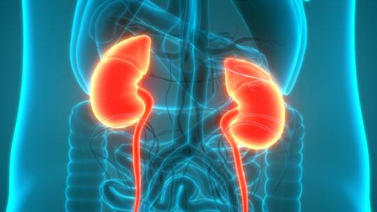 <사진: 아이클릭아트>