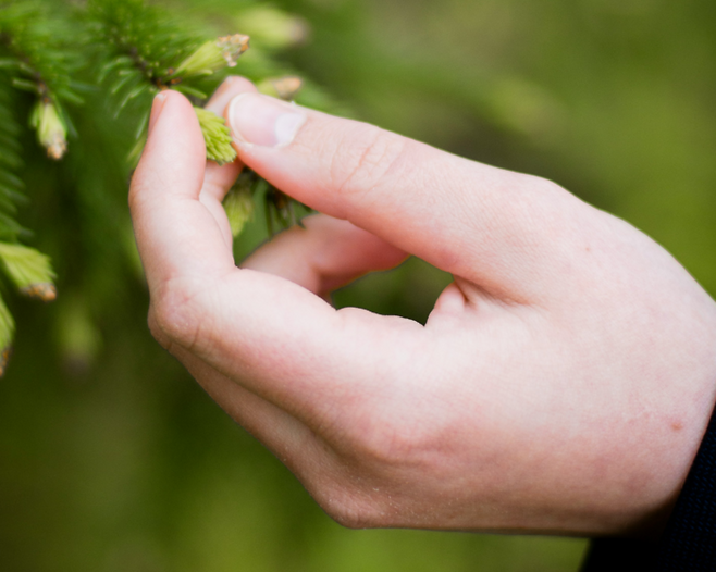깔끔하게 다듬은 손톱은 중요한 매력 포인트다. [사진 출처=Aarón Blanco Tejedor, unsplash]