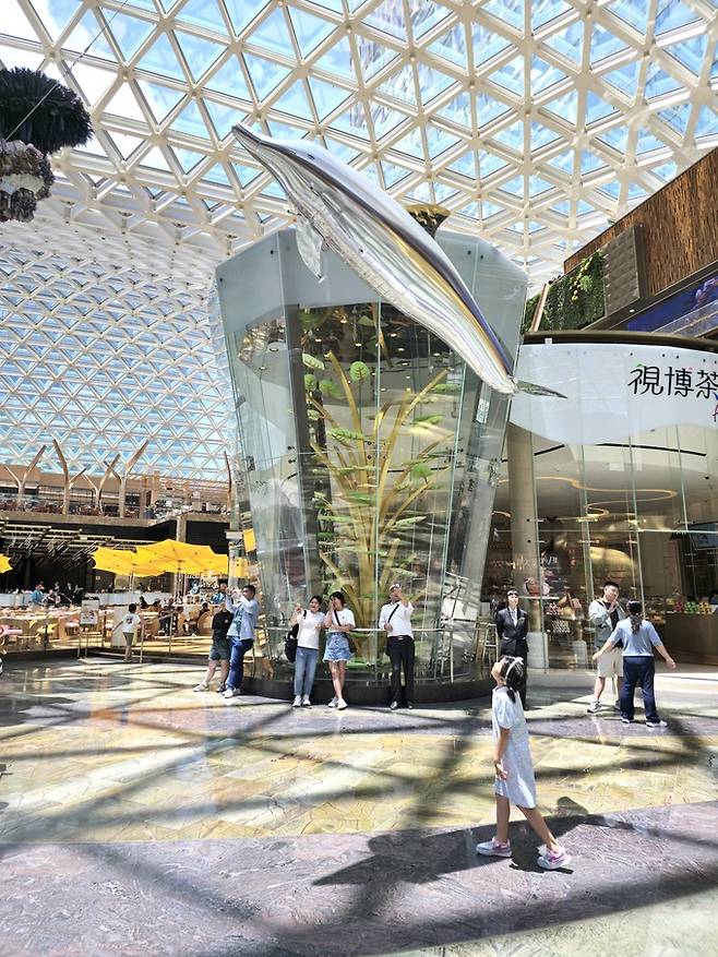 MGM 코타이 로비 돌고래쇼.