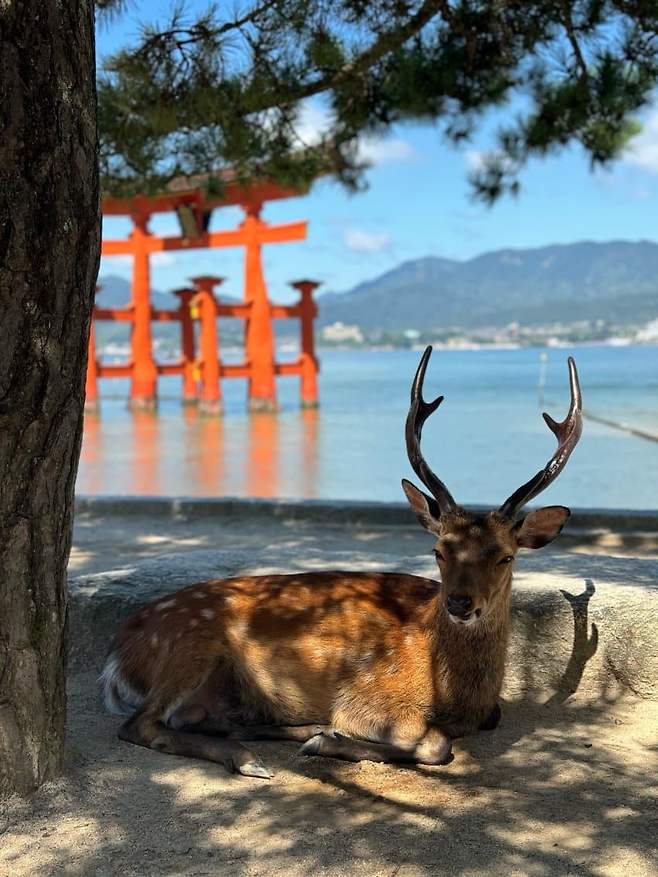 0be5f203c3811b80239d83e7409c701840786bc7c0110a3fe03234395979718cd62376e1e3a04ffc79f54c16206dba7ace27325b97