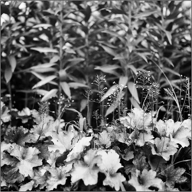 26e98076a5836ce87eb1d19528d52703aad1ccd3eaf966ad