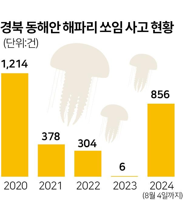 경북 동해안 해파리 쏘임 사고 현황. 그래픽=박구원 기자