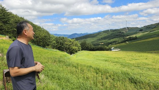 매봉산 고랭지배추단지에서 20년째 배추 농사를 지어온 이정만씨가 단지 내 휴경지를 바라보고 있다. 태백=정은혜 기자