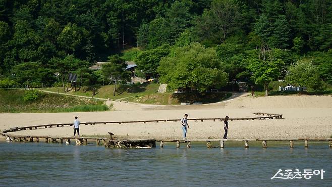마을을 3면으로 감싸 흐르는 내성천 위에 놓인 외나무다리가 유명한 영주 무섬마을. SNS 인증샷 명소로 인기가 높다 봉화·영주|김재범 기자 oldfield@donga.com