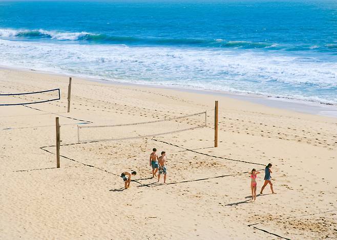 프란시스 비치의 여름